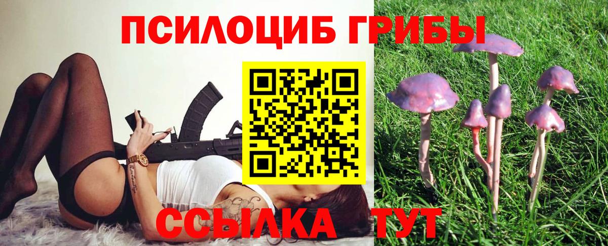 Псилоцибиновые грибы прущие грибы Кингисепп