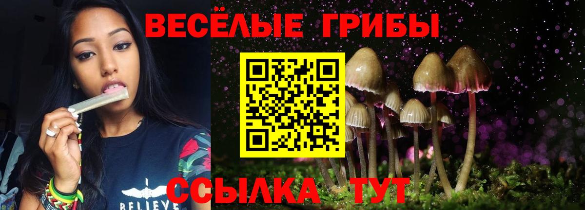 Галлюциногенные грибы GOLDEN TEACHER  Галлюциногенные грибы Psilocybine cubensis  Кингисепп  Вход с VPN 