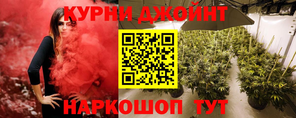 Бошки марихуана тримм  Вход с VPN  Канабис марихуана  Кингисепп 